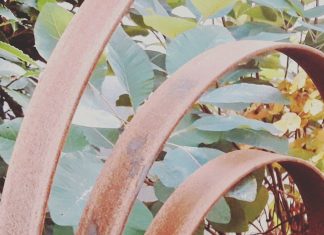 Dawson’s Yard Dawsons Yard